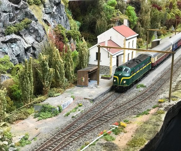NMBS Nohab on the layout at the Halver Modultreffen 2022