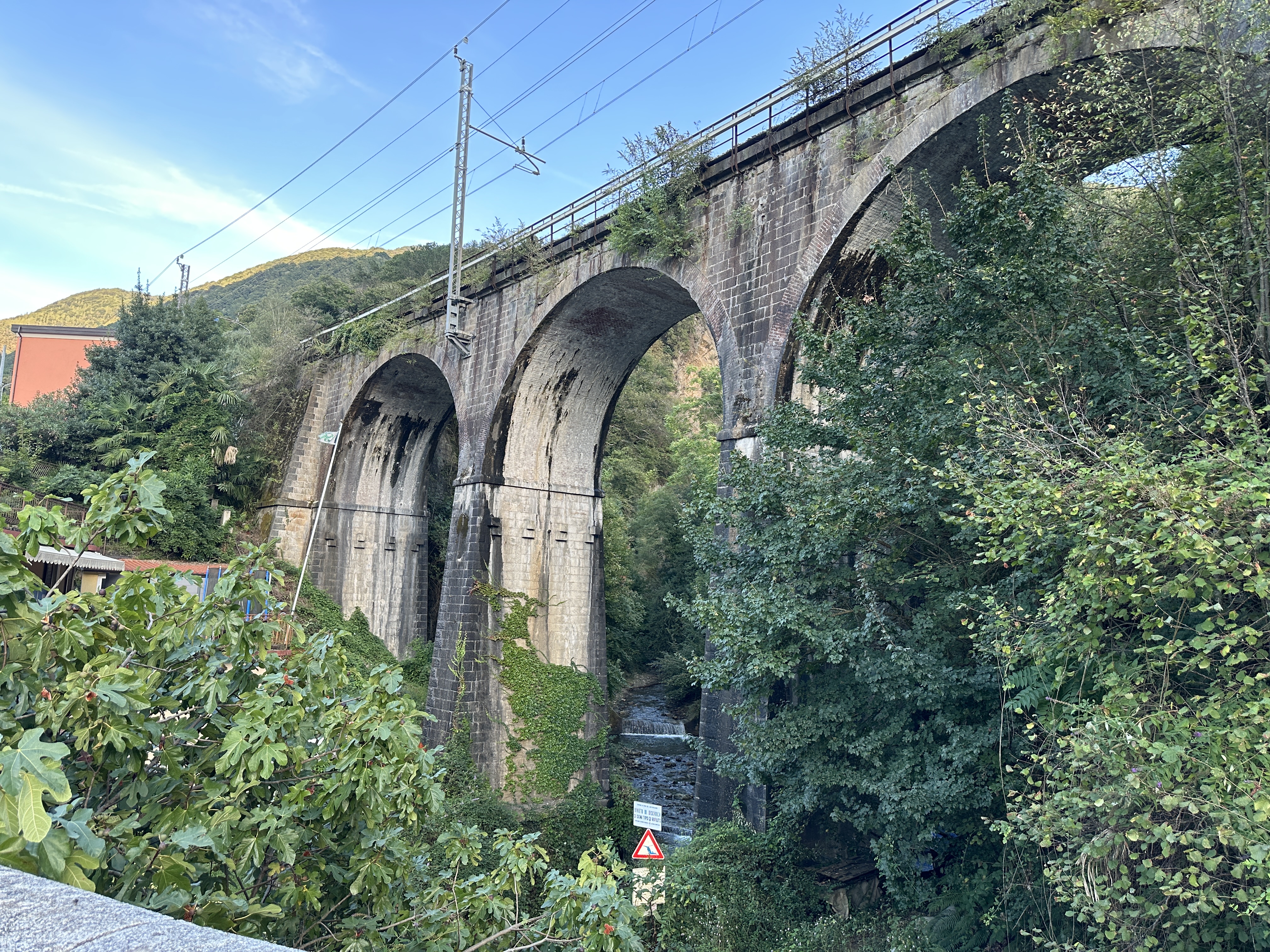 ligne aérienne FS Bellinzona - Luino